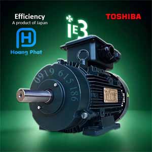 Động cơ điện Toshiba IE3 chân đế 0.75kw – 150kw